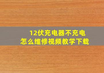 12伏充电器不充电怎么维修视频教学下载