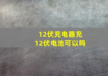 12伏充电器充12伏电池可以吗