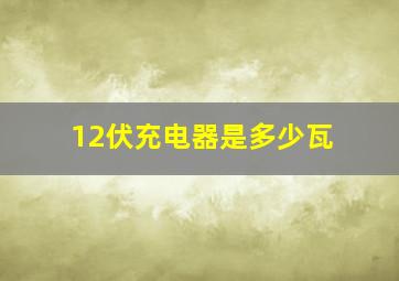 12伏充电器是多少瓦