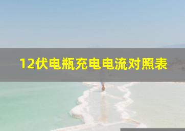 12伏电瓶充电电流对照表