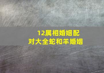 12属相婚姻配对大全蛇和羊婚姻