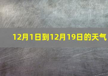 12月1日到12月19日的天气