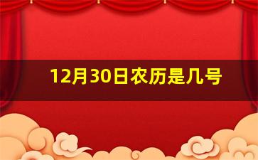 12月30日农历是几号