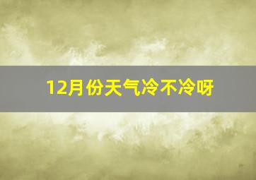 12月份天气冷不冷呀