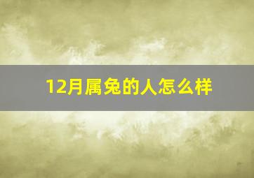 12月属兔的人怎么样