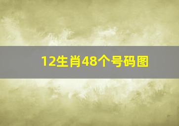 12生肖48个号码图