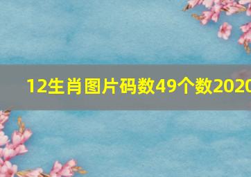 12生肖图片码数49个数2020