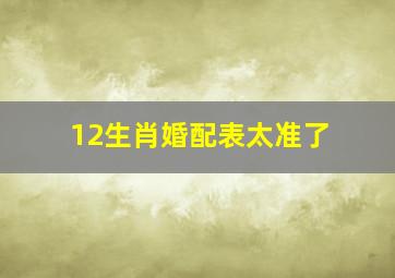 12生肖婚配表太准了