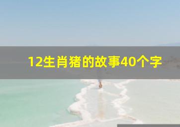 12生肖猪的故事40个字