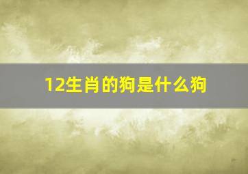 12生肖的狗是什么狗