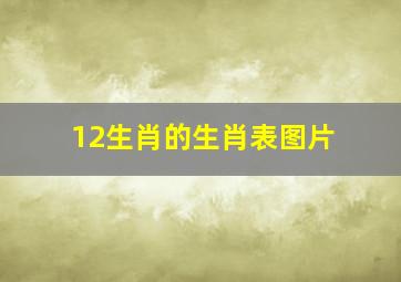 12生肖的生肖表图片