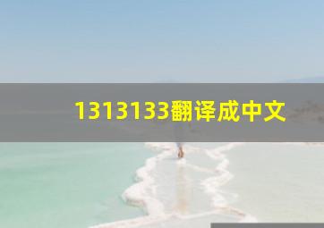 1313133翻译成中文