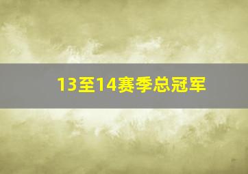 13至14赛季总冠军