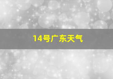 14号广东天气