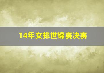 14年女排世锦赛决赛