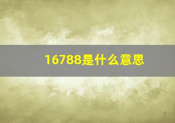 16788是什么意思