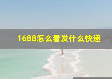 1688怎么看发什么快递