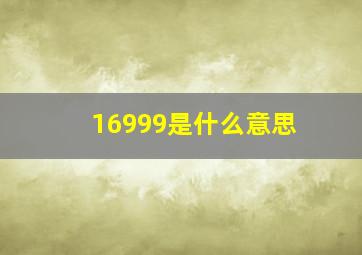 16999是什么意思