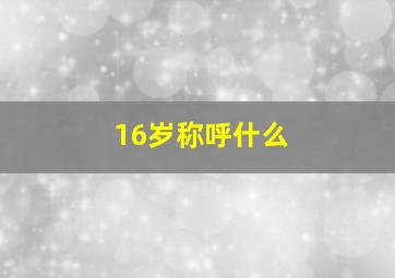 16岁称呼什么