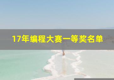 17年编程大赛一等奖名单