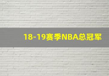 18-19赛季NBA总冠军