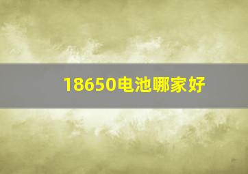 18650电池哪家好