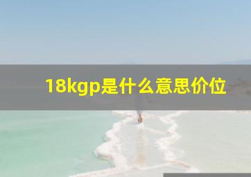 18kgp是什么意思价位