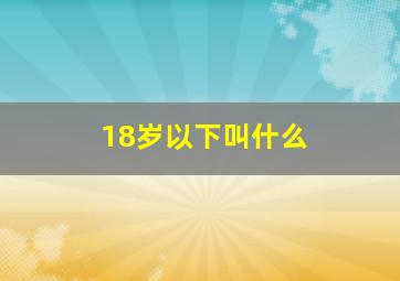 18岁以下叫什么