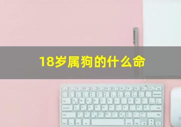 18岁属狗的什么命