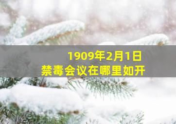 1909年2月1日禁毒会议在哪里如开