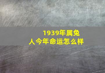 1939年属兔人今年命运怎么样