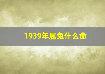 1939年属兔什么命