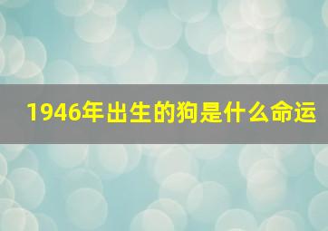 1946年出生的狗是什么命运