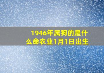 1946年属狗的是什么命农业1月1日出生