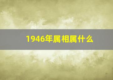 1946年属相属什么