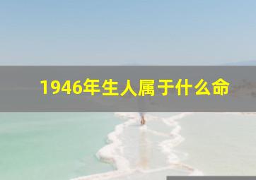 1946年生人属于什么命