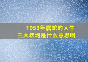 1953年属蛇的人生三大坎坷是什么意思啊