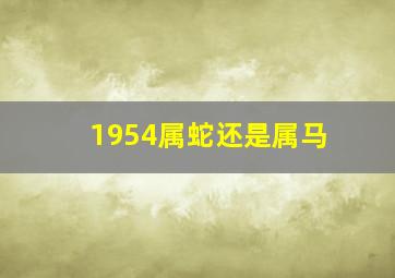 1954属蛇还是属马