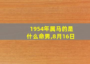 1954年属马的是什么命男,8月16日