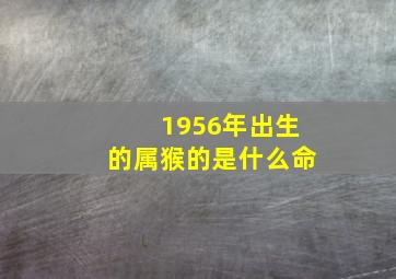 1956年出生的属猴的是什么命