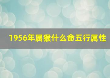 1956年属猴什么命五行属性