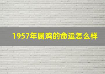 1957年属鸡的命运怎么样