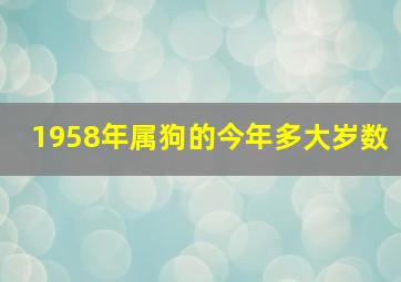 1958年属狗的今年多大岁数