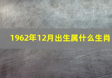 1962年12月出生属什么生肖