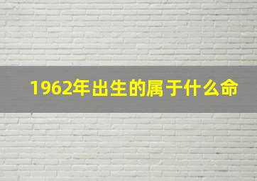 1962年出生的属于什么命