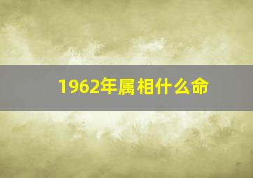 1962年属相什么命