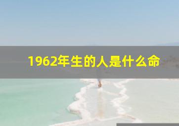 1962年生的人是什么命