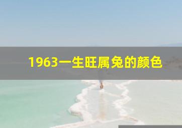 1963一生旺属兔的颜色