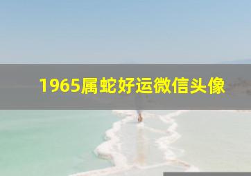 1965属蛇好运微信头像