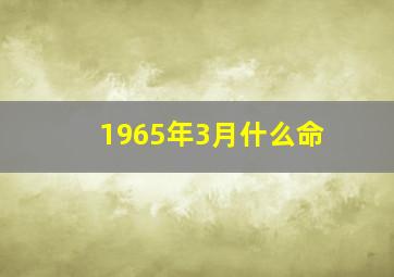 1965年3月什么命